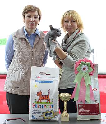 �������� ����� 22-23 ������ 2014, ������������ ��� �������� ����� 22-23 ������ 2014  ������������ ��� 169A8796 copy.jpg